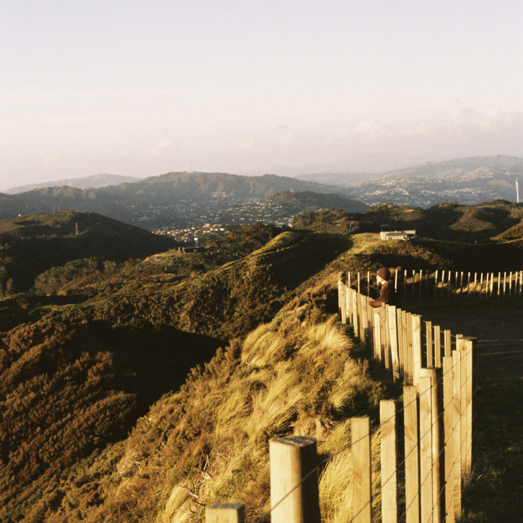 Wellington Hikes - Photo courtesy of our friend George McNally 