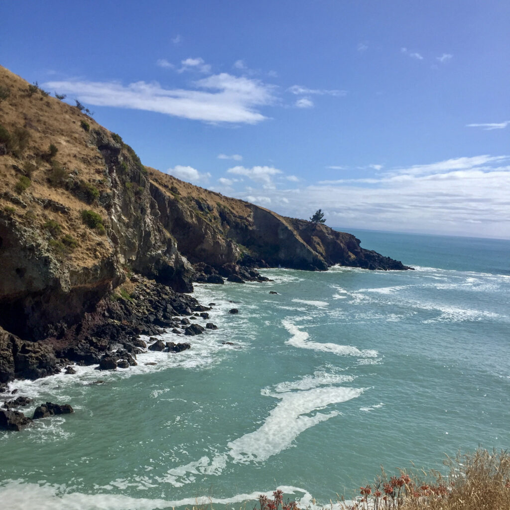 Godly head view of taylors mistake beach coastline