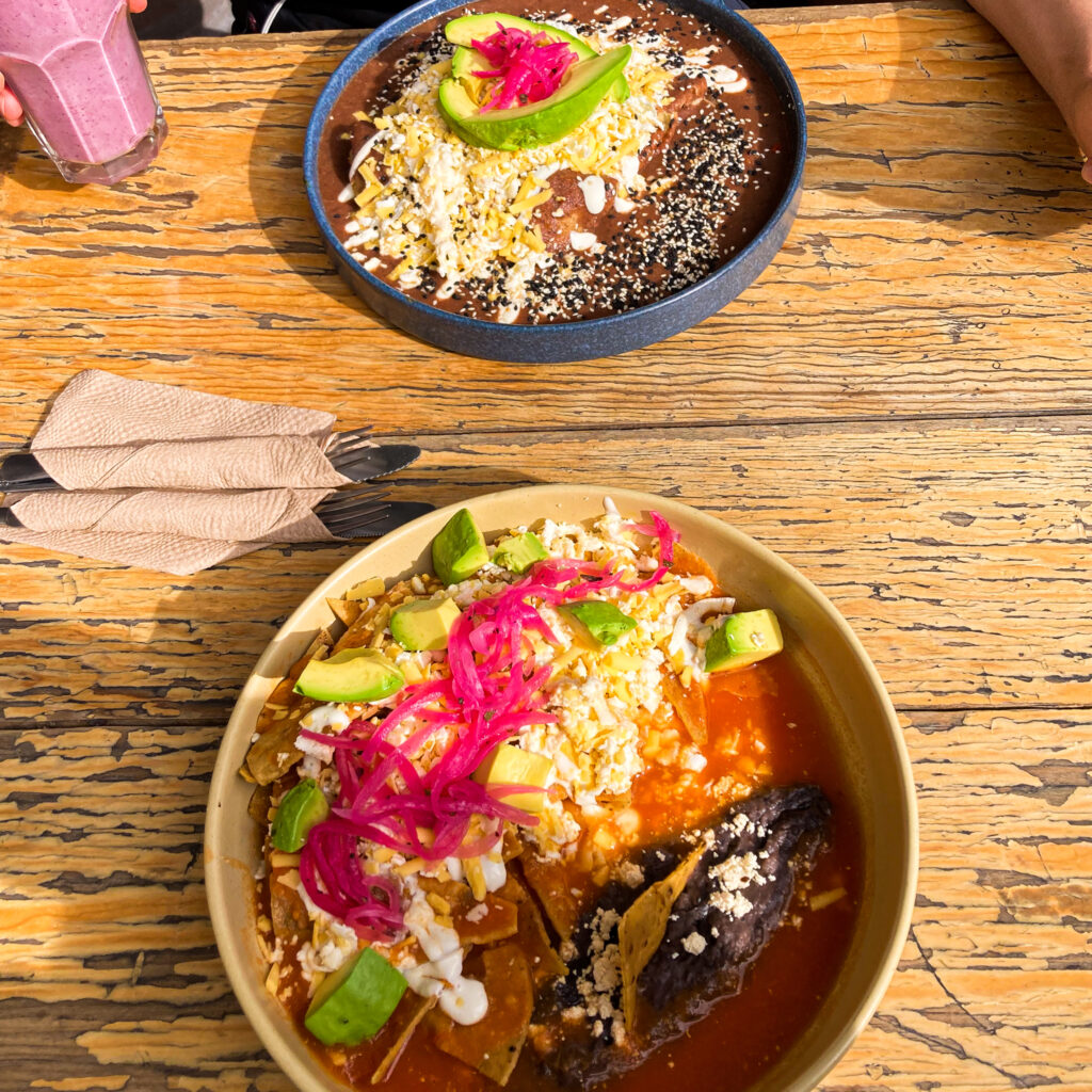 Big bowls of vegan enchiladas in mexico city