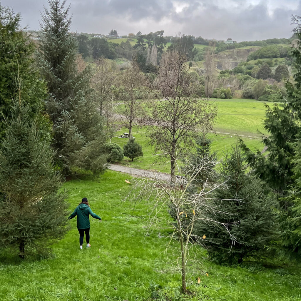 Walking tracks in Christchurch the quarry rim track