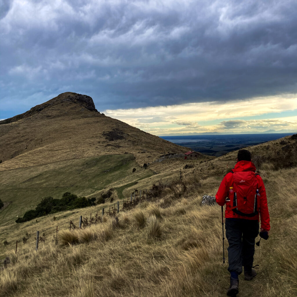 Packhourse hut photo of rolling hills