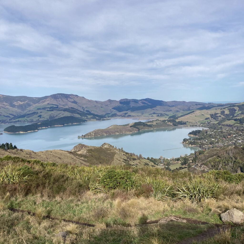 Rapaki view into Lyttelton harbour