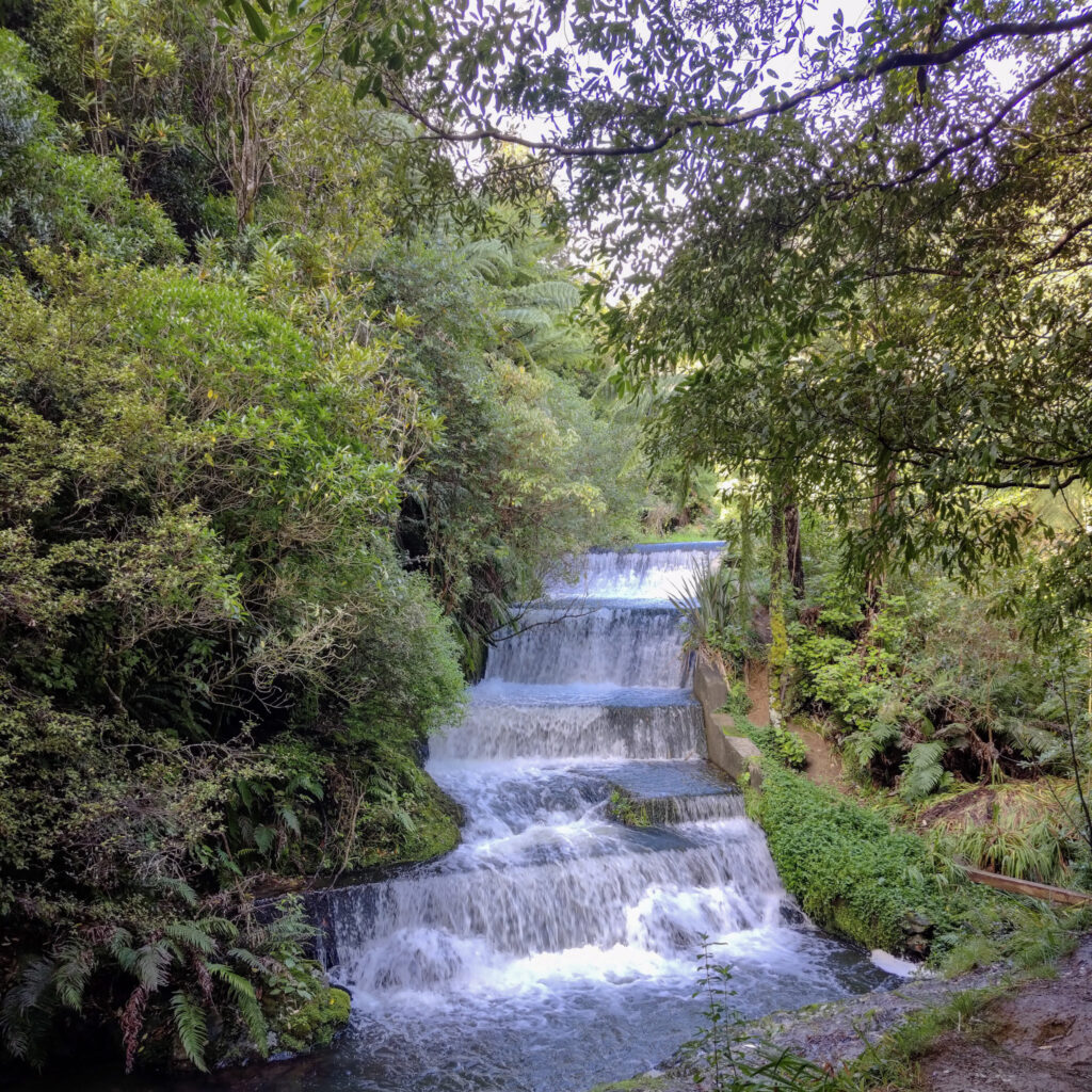 Wellington hikes - Korokoro Dam