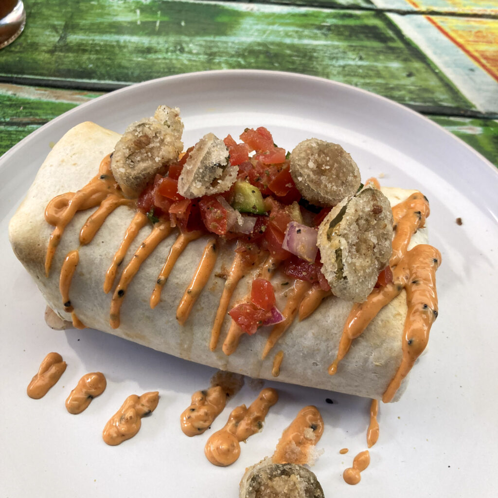 A loaded burrito from fidels