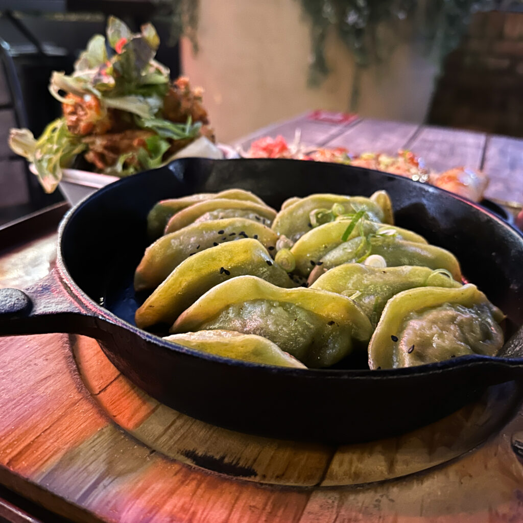 Twelve vegan dumplings from eightgrains in christchurch