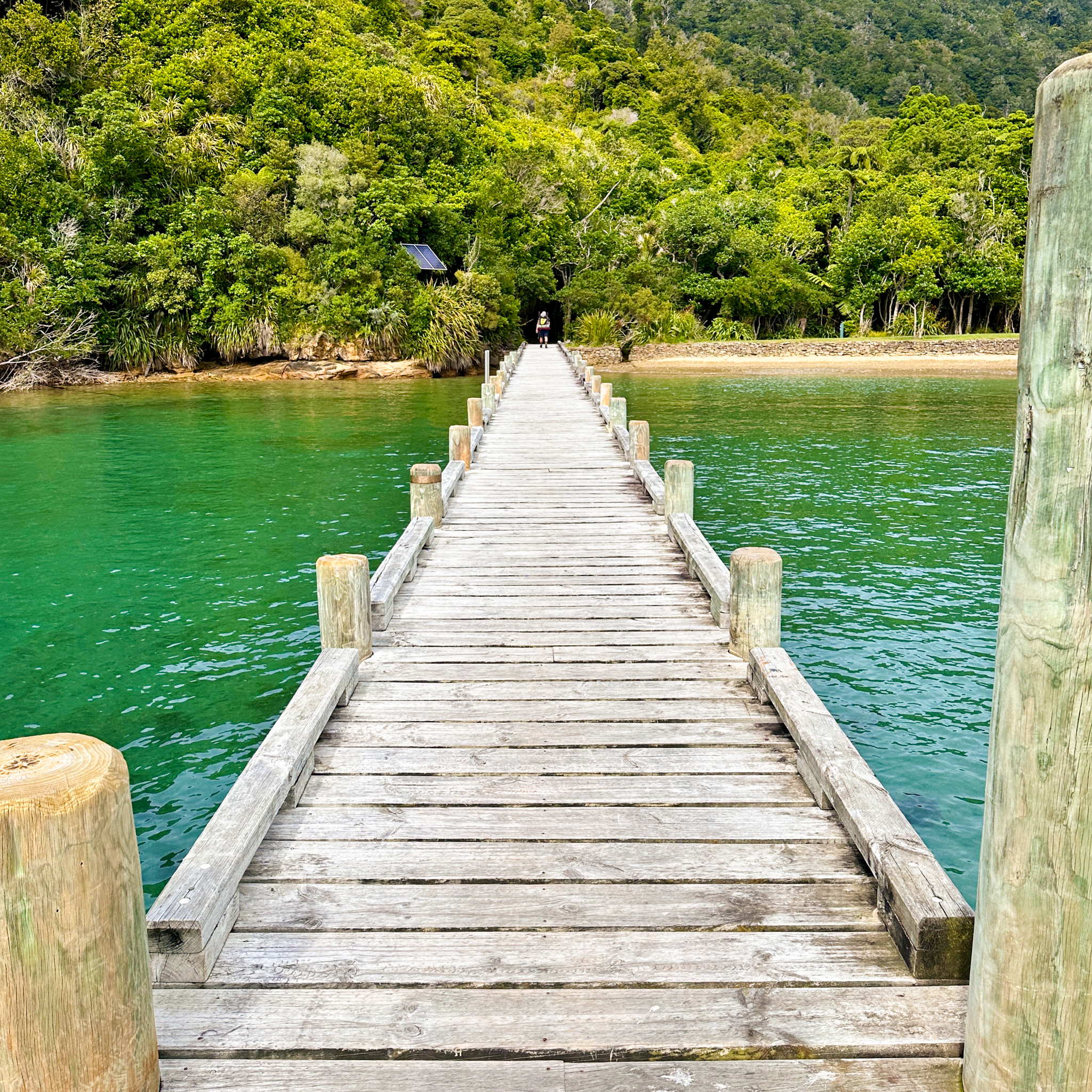 Start of the Queen Charlotte Track