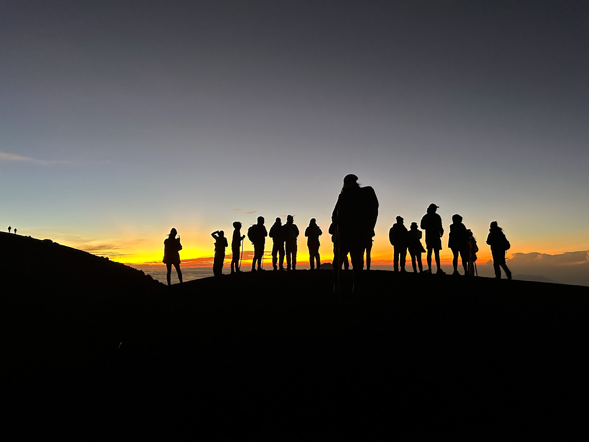 Plantbased escape volcano sunset